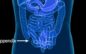 Your appendix serves an important biological purpose Your appendix serves an important biological purpose