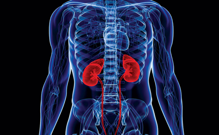 World Kidney Day: ‘Kidney disease has become the 8th leading cause of death in women’