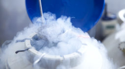 London woman delivers baby using ovary removed and frozen at age 9, creates history London woman delivers baby using ovary removed and frozen at age 9, creates history