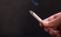 Health alert: Smoking in movies harms children