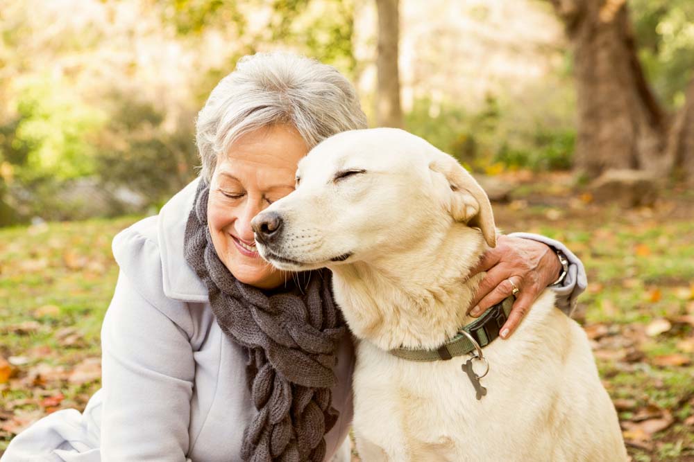 Caring for a sick pet can mentally drain you, says study