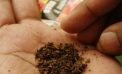 Tobacco consumption: Bihar mulls ban on khaini